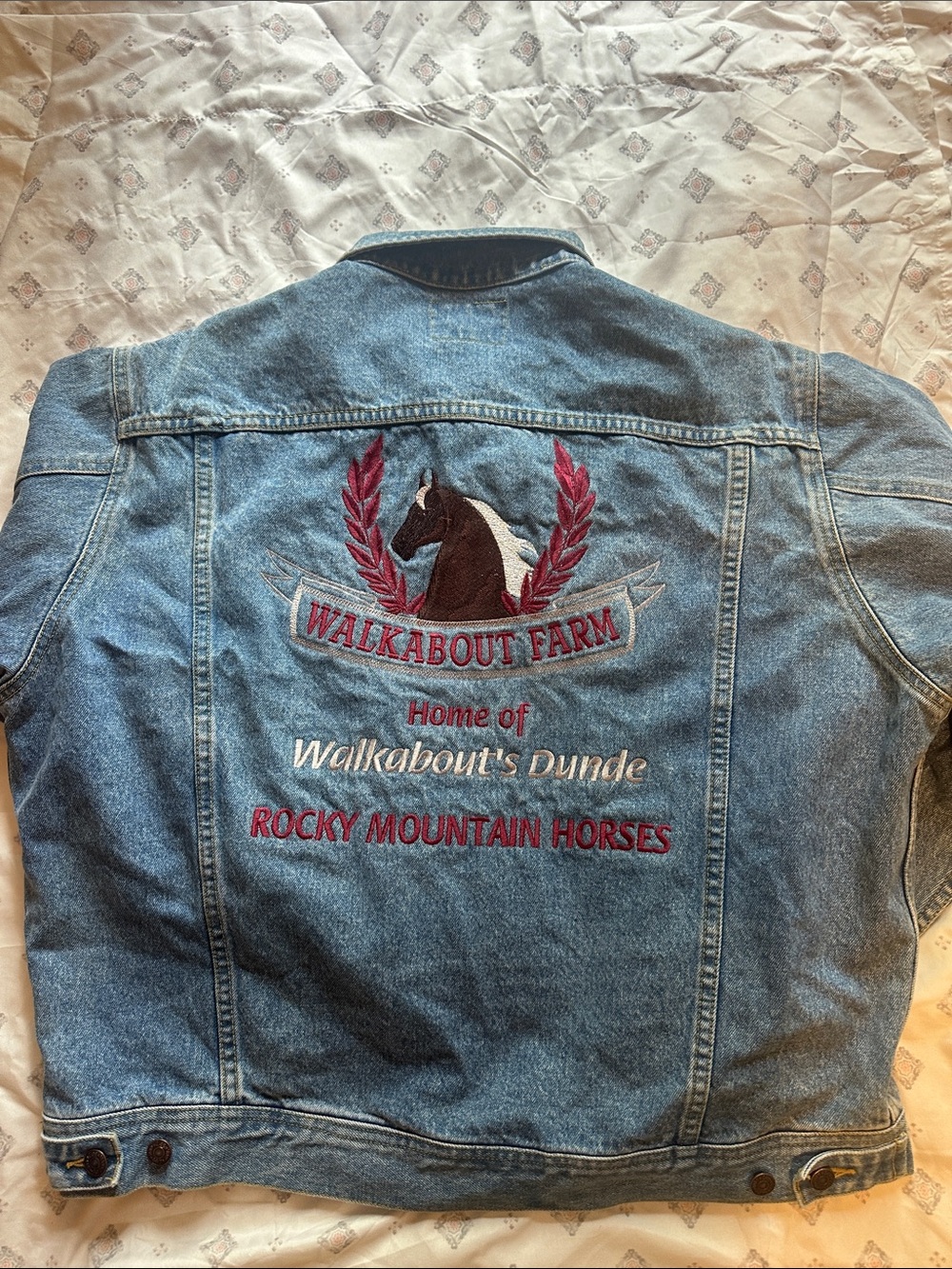 Men's Blue Denim Lee Jacket